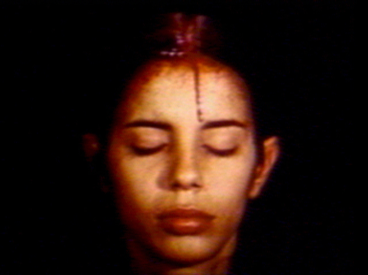 Ana Mendieta: Fuego De Tierra